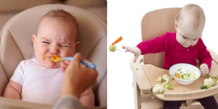 "Mein Kind will nicht essen" - Beikostberatung für stillende Familien Titelbild
