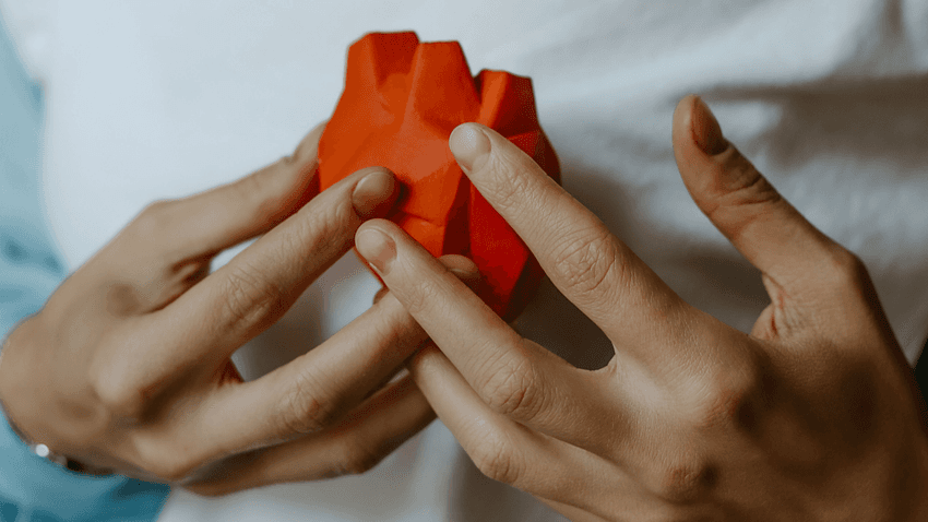 Person mit Herzmodell in den Händen – Symbolbild für den Tag der Organspende. (pexels.com, Julia Malushko)